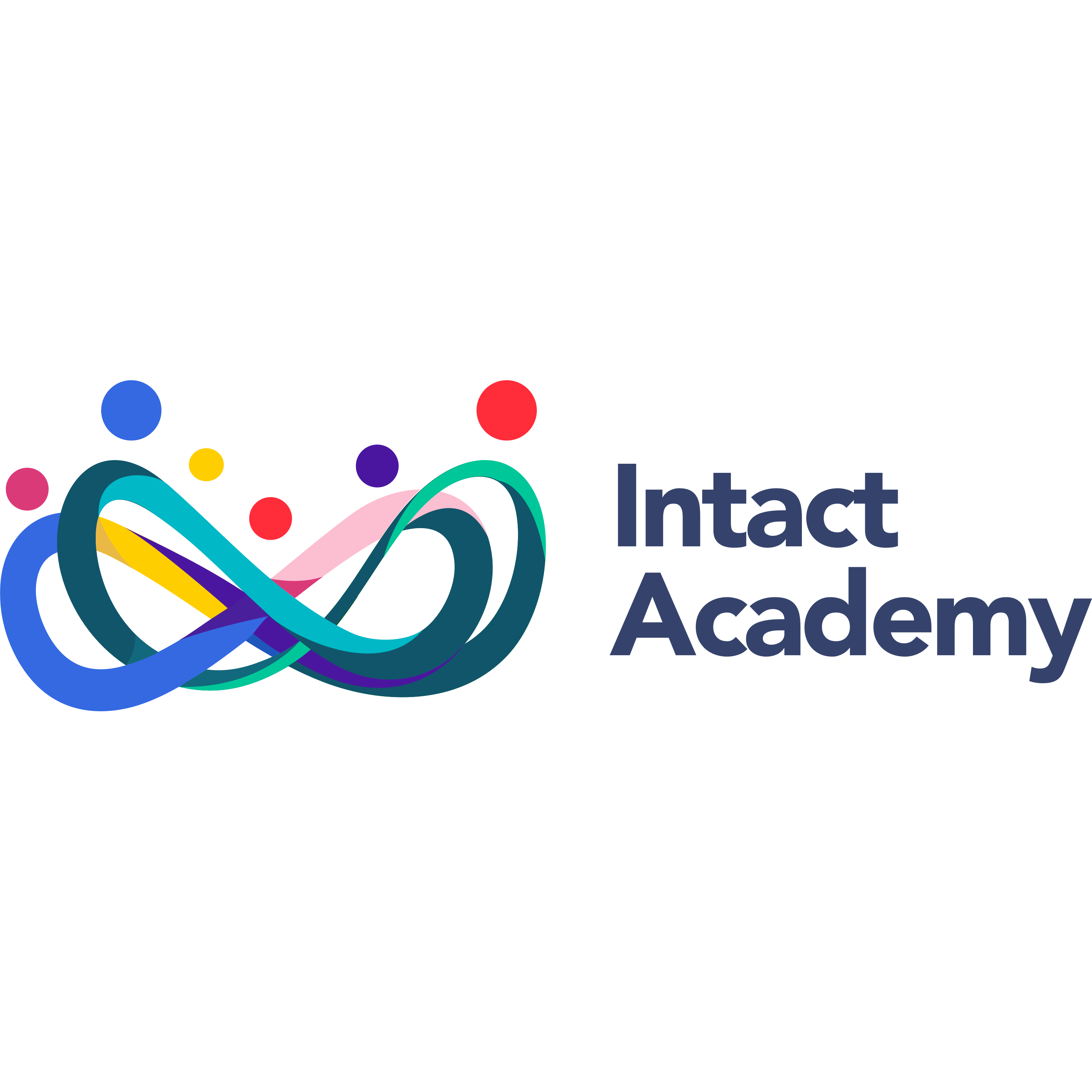 Intact Academy